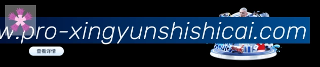 体育数据展示